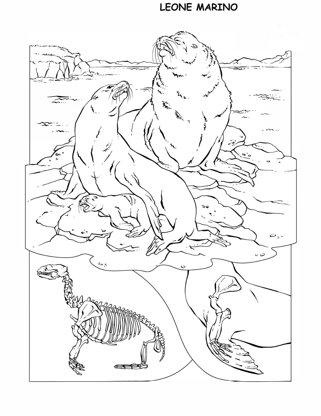 coloring-book-animals A_07