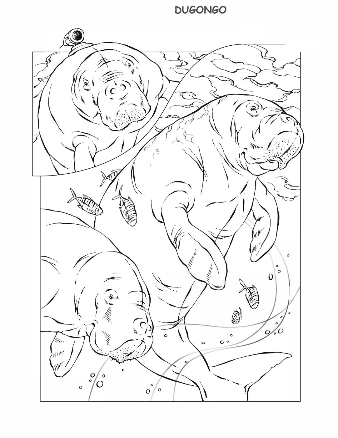 coloring-book-animals A_10