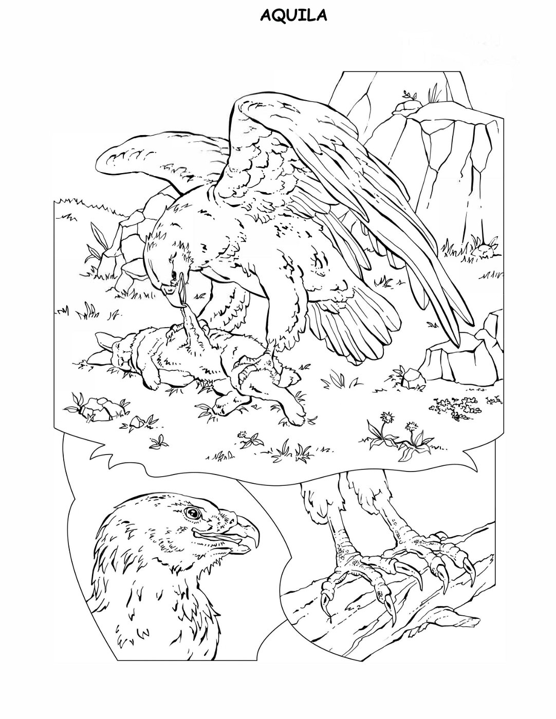 coloring-book-animals A_16