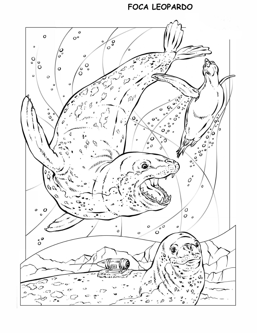 coloring-book-animals A_29