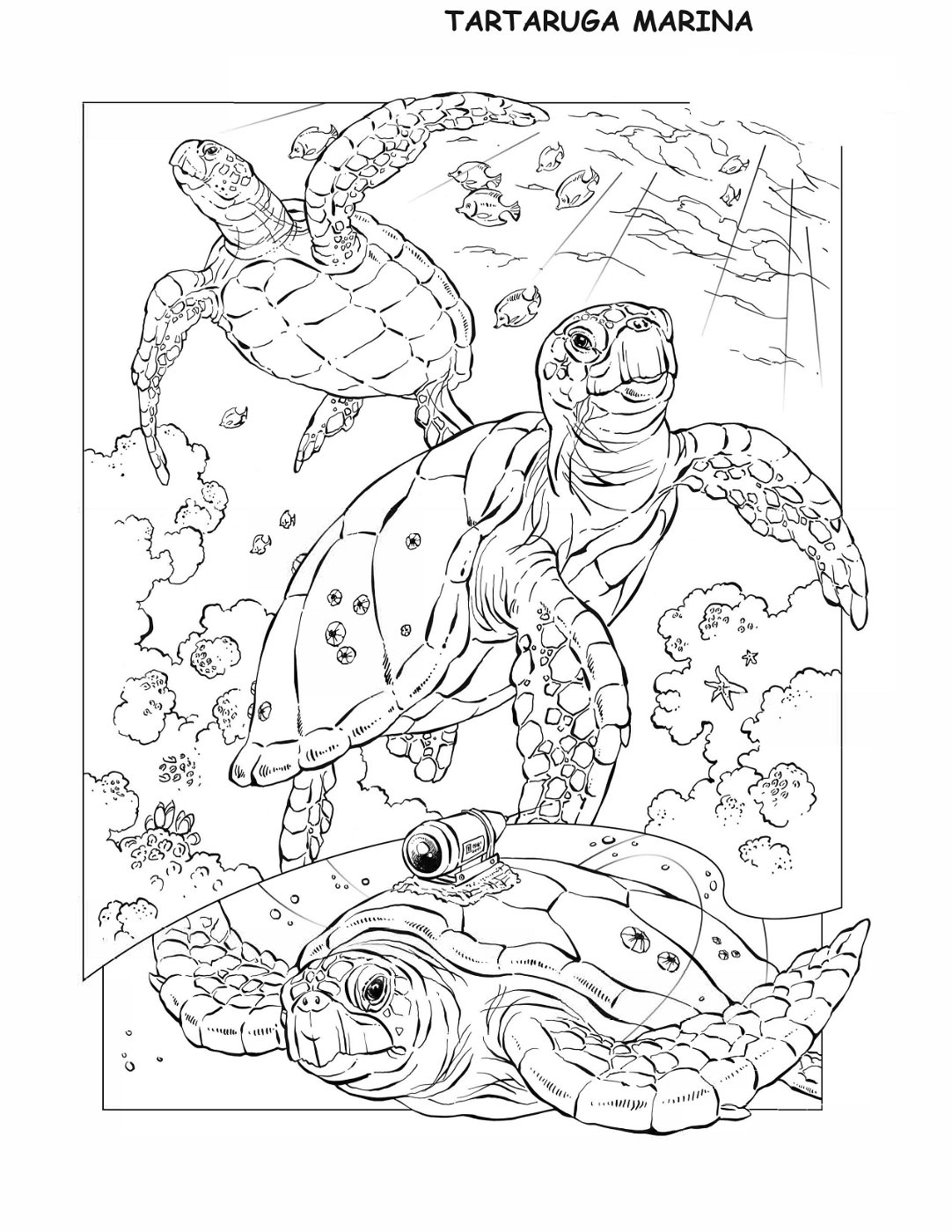 coloring-book-animals A_31