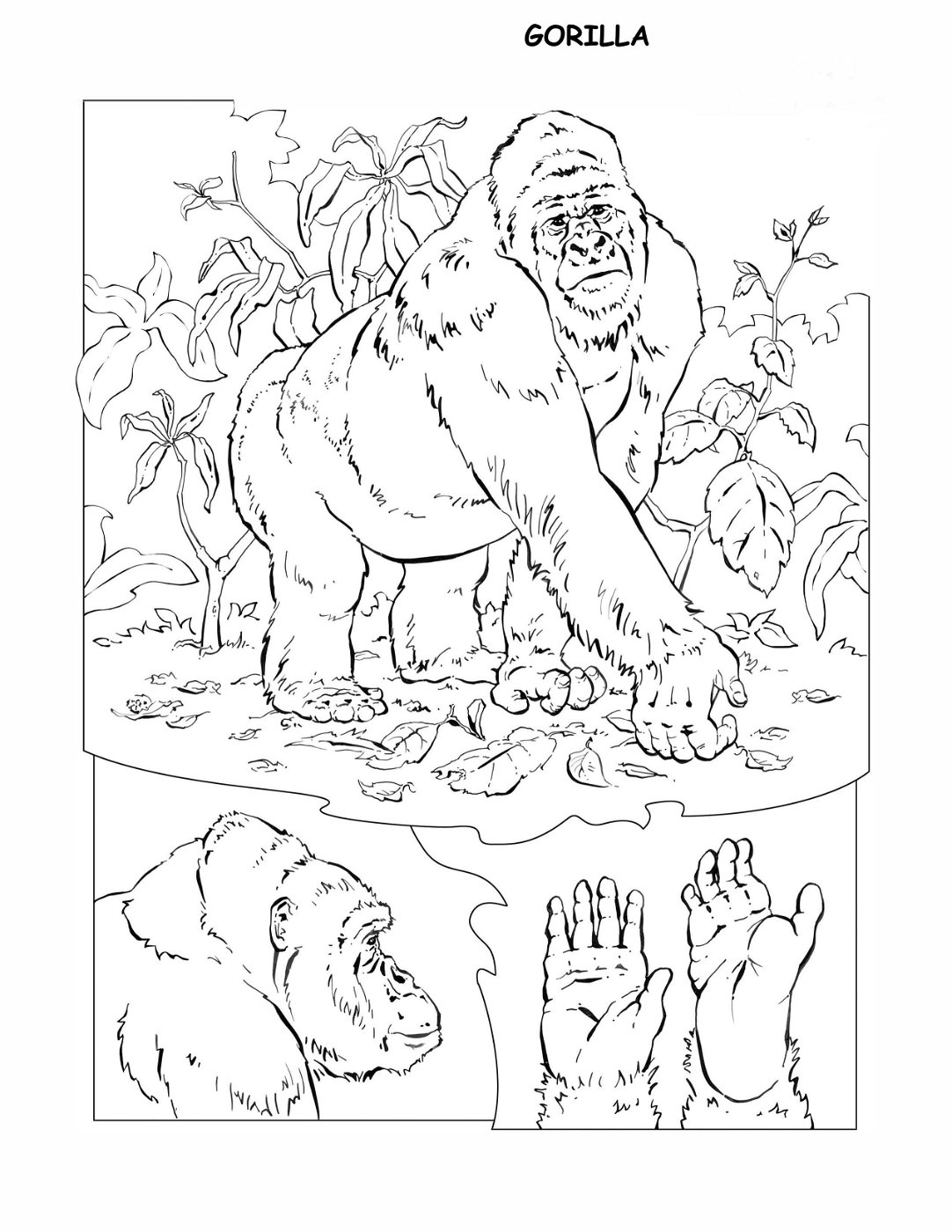 coloring-book-animals A_48