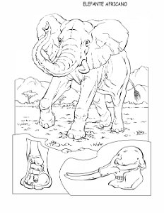 coloring-book-animals A_02