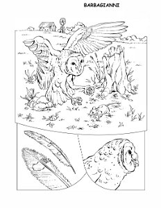 coloring-book-animals A_03