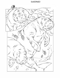 coloring-book-animals A_10