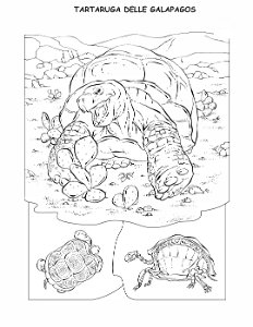 coloring-book-animals A_13