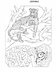 coloring-book-animals A_28