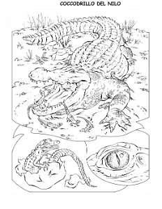coloring-book-animals A_35