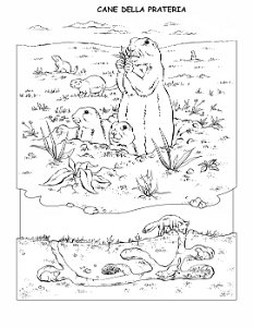 coloring-book-animals A_41