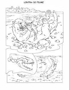 coloring-book-animals A_43