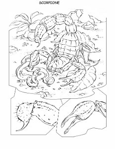 coloring-book-animals A_44